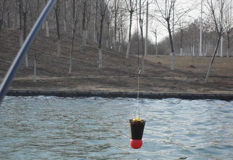 会打鲫鱼的隔夜窝，不管哪个季节，野钓时，就怕鱼护不够大