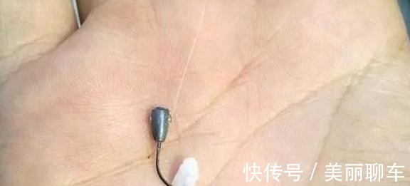 钓饵|别看这东西便宜,却是鲫鱼最爱吃的饵料,它就在你身边