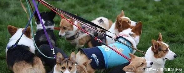 用自己|日本最奇葩的三个姓氏,这些姓氏的人,网友听起来像骂人!