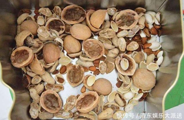 养花还买花肥家里的此几样“垃圾”扔盆里,植物叶油绿、开花艳