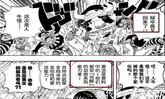 赏金|海贼王: 又一位超人系果实觉醒, 赏金是卡二两倍还高