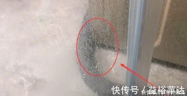 玻璃门|浴室玻璃总有水垢擦不干净教你简单一招，轻松一擦水垢全去除！