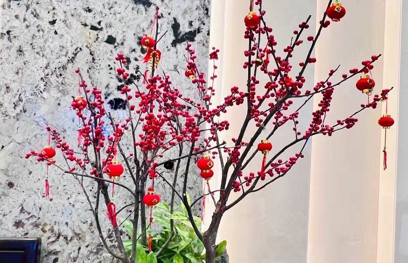 客厅养花有讲究：这3类植物再“喜欢”也别养，对家人不利