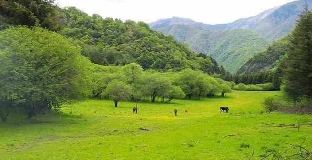 藏不住了平武这些隐世秘境已美到词穷，快来独享6月最美风光