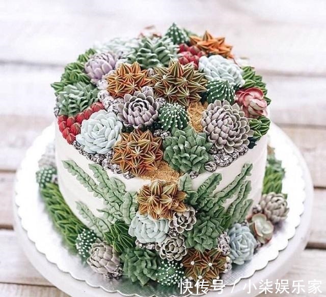 学会3招，多肉养成“手捧花”，七夕情人节，最漂亮的礼物！