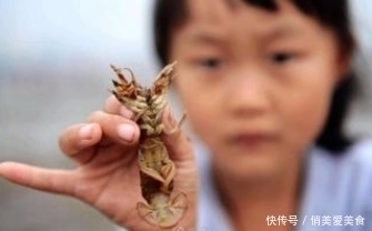 海边特有“美味”，只有骨头没有肉，价钱比牛肉贵，成吃货盘中餐