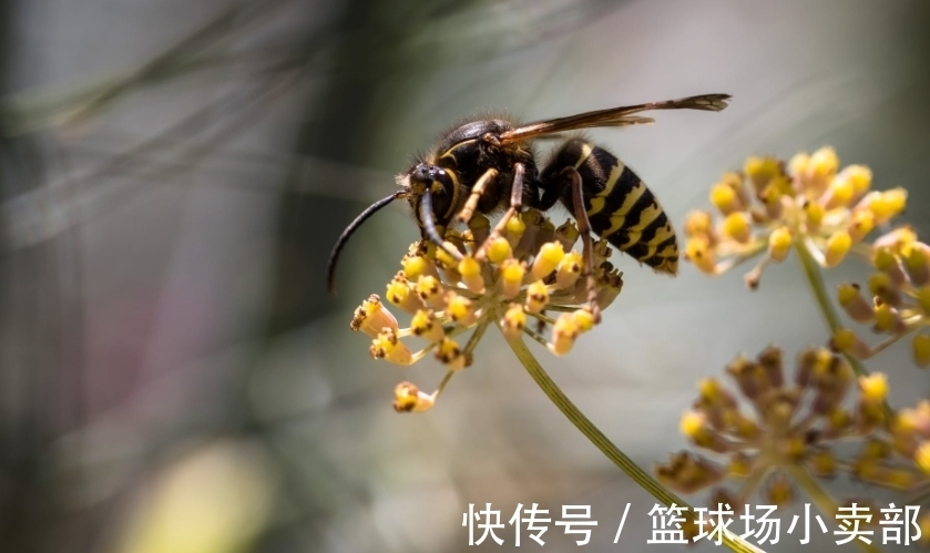 人脉|哪些时辰出生的人，门路广，人脉多，头脑聪明，事业一日赛一日