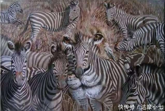 动物|爆准痴呆测试能在图中找到除斑马以外的动物吗全找到的快炫耀