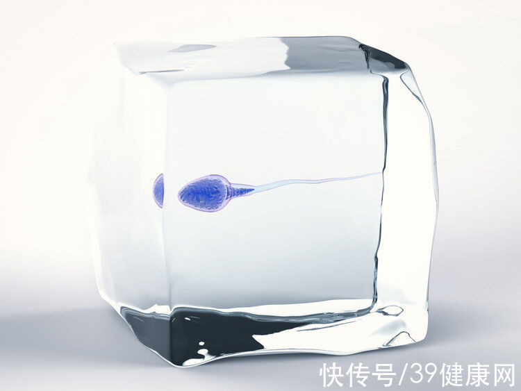 男人|为什么那么多男人“生”不出孩子?男性避免不育,4个建议听进去