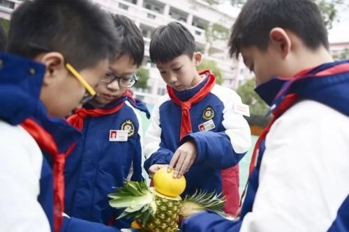  举办|水果也来凹造型：泰顺记育才小学举办学生水果拼盘比赛