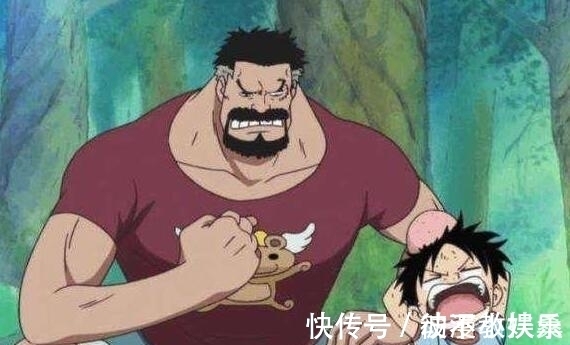 雷利|海贼王 草帽团师父们排名, 鹰眼第五, 罗宾师父第一