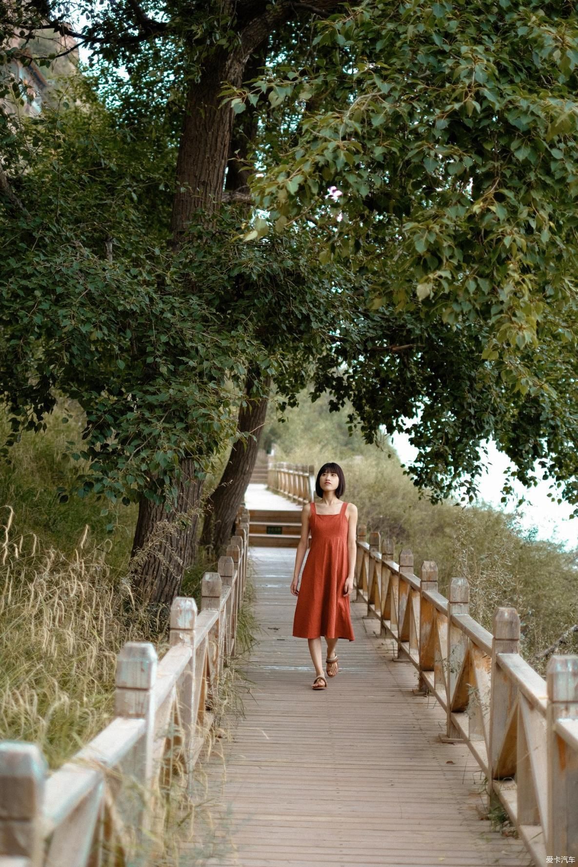 老年|送给三十岁的礼物 甘-蒙公路旅行 风景在路上