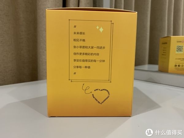 晒物|新年第一份礼物——张大妈的首款手办张小草