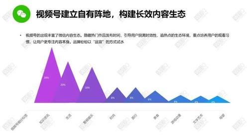 WEIQ：2020年度红人营销白皮书