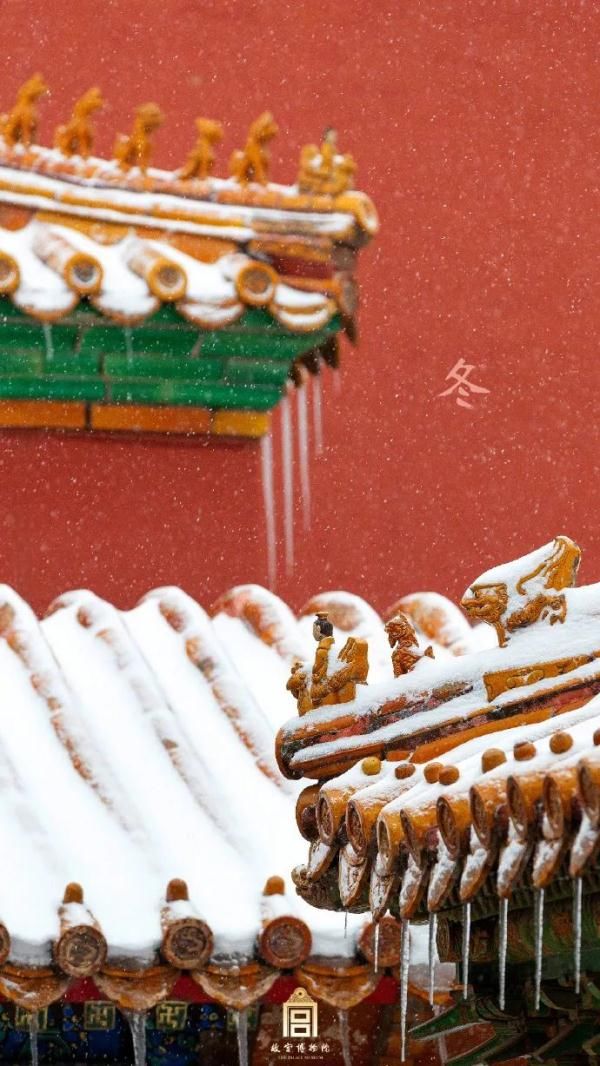 紫禁城|故宫雪景新片来了！带你看紫禁城绝美四季