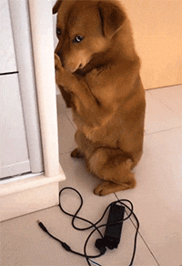 |搞笑GIF:以后孩子再问我他是从哪里来的 我就给他看这个