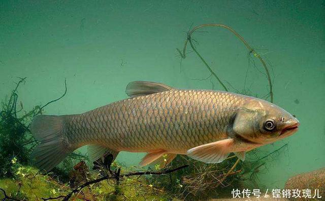 “三分钓技,七分钓位”是真的吗该如何选择