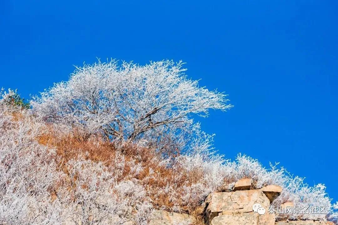 跟随姚鼐的散文《登泰山记》冬览泰山