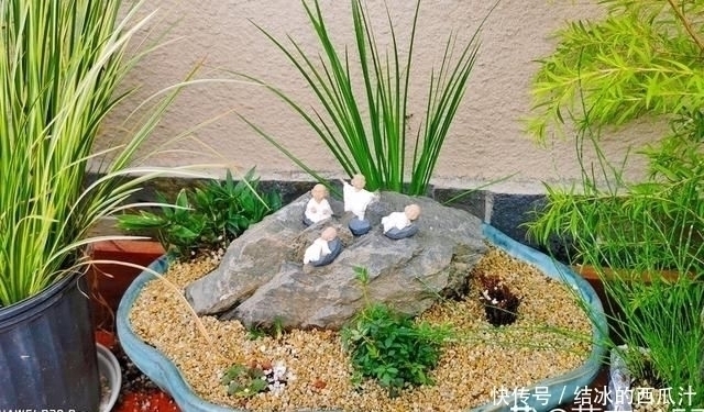 用石头盘子来养花，变成小盆景，价值能翻好几倍