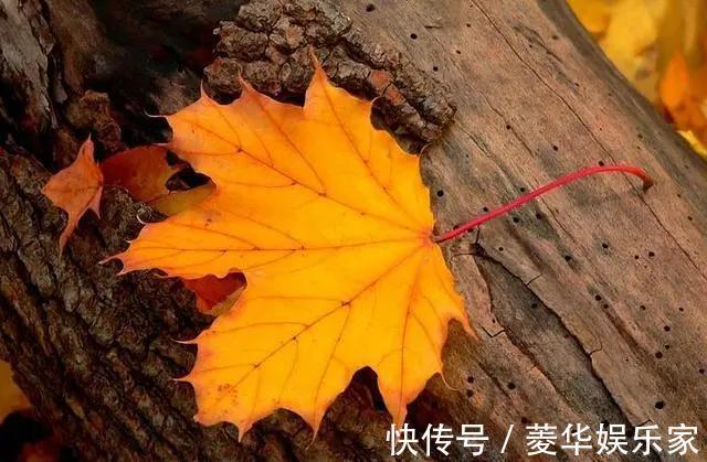 虚情假意|人到50，如果不在四个方面“心狠”一点，难免晚境凄凉