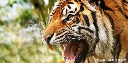 古代有没有监控、身份证,为啥流放、安置的囚犯不找机会跑路?