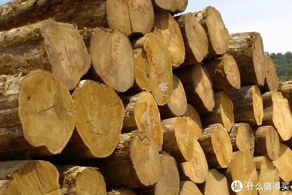 大亏|这16个不为人知的装修小秘密，不看小心吃大亏