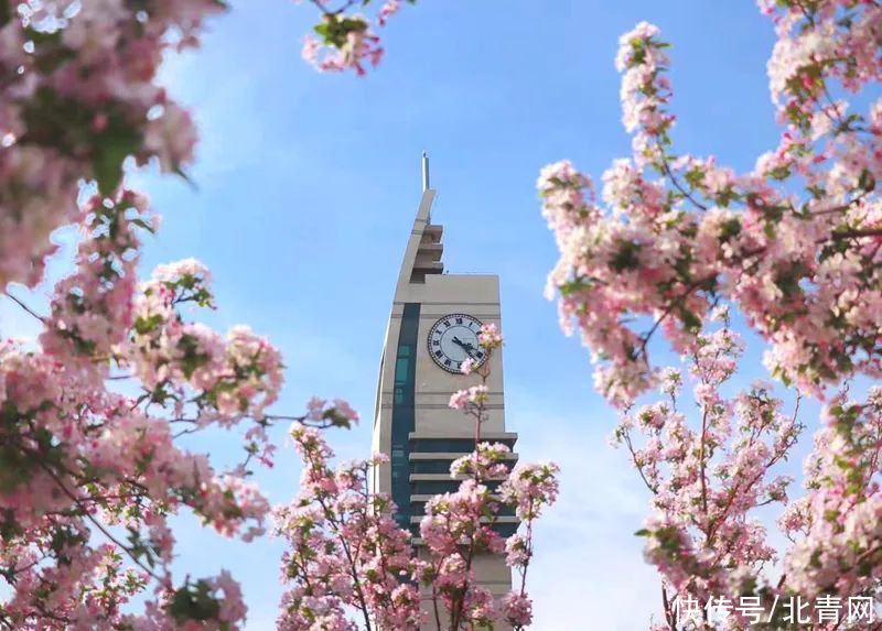 高校“校花”大比拼