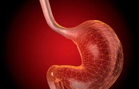 杀菌|睡前一杯“养胃水”，助你赶走幽门螺杆菌，养出好胃，早知早受益