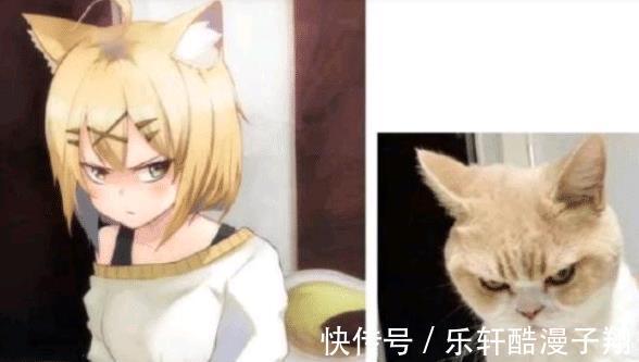 木村纱织|现实打破次元壁变身二次元眼镜娘很可爱,猫娘是我们的梦想
