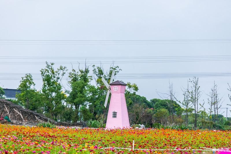 又见南浔，你依旧美好如初