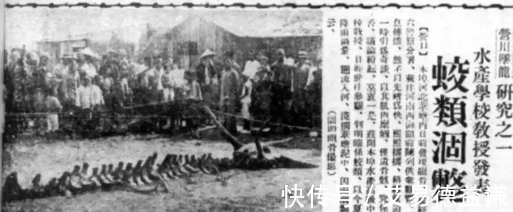 刘累|龙到底存不存在？为何古代文献中，会有许多“真龙现身”的记载？