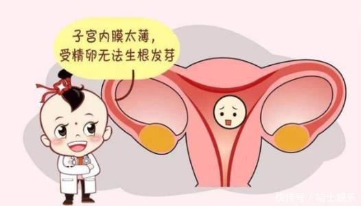 女性|滔滔顾问:女性子宫内膜薄可以做试管婴儿吗?