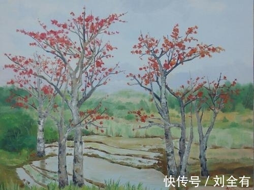 读首诗!读首诗再睡觉|我多次从这木棉树下经过,夕阳只是借过一种唯美