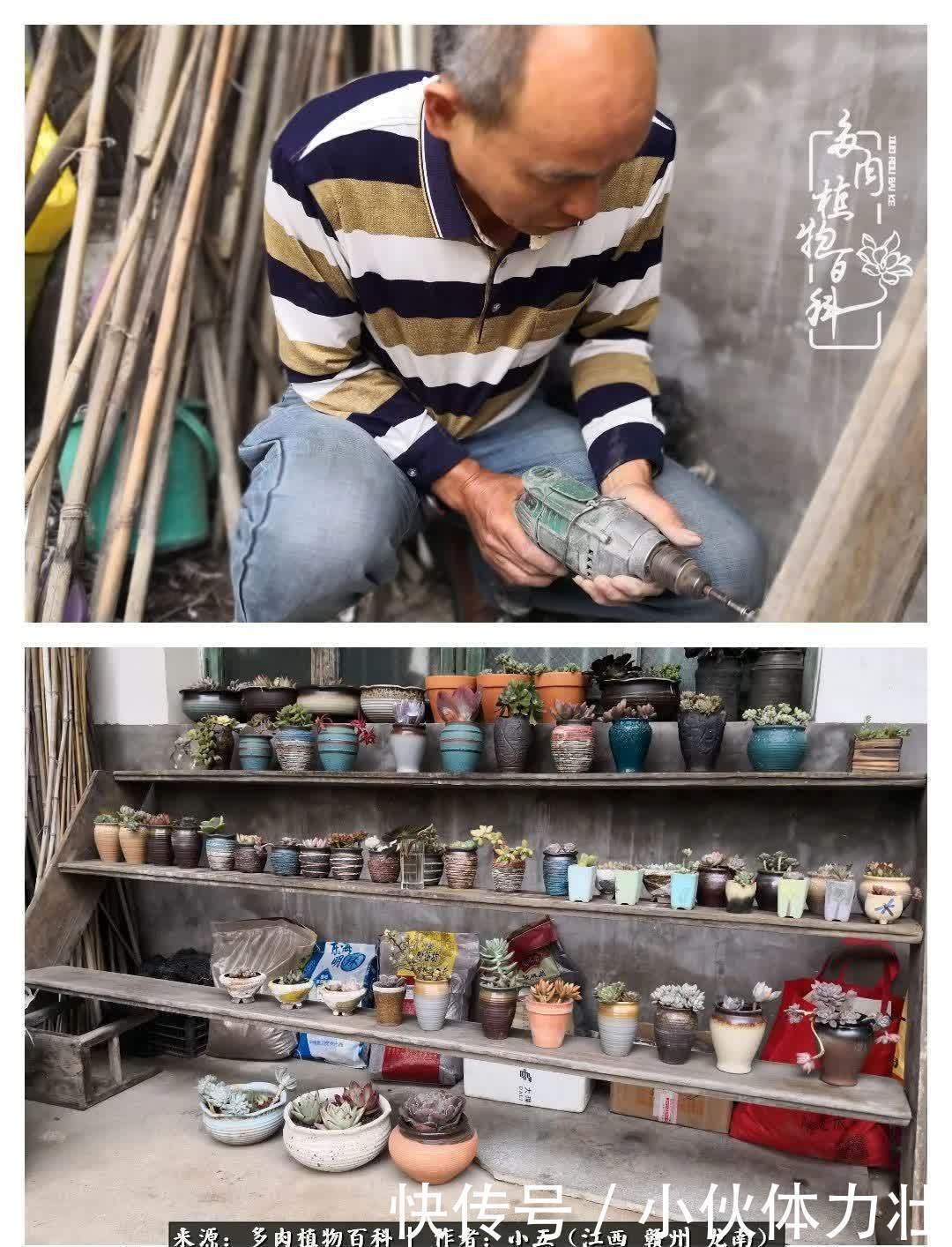 懵懵懂懂入肉坑,跌跌撞撞养多肉