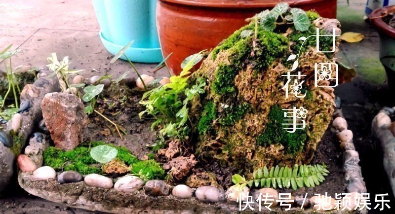 角磨机|7种“废料”做花盆,不花一分钱,花盆用不完,比买的还精致