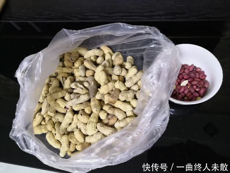 养花技巧1粒花生丢水里,比绿萝好看100倍,沤肥又能做菜