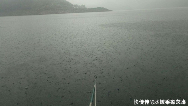 夏季|夏季手竿钓大鱼4大秘诀,常用这些招数,大货也能连竿上