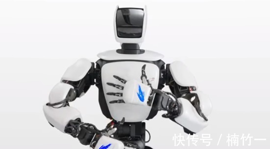 学习能力|会说相声会打太极,中国的“功夫熊猫”有多牛?老外都不可思议