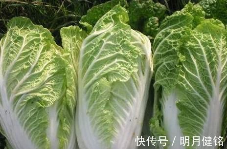 减肥|女性易发胖,多吃3种蔬菜,刮油清脂,大肚腩消了,减肥的好帮手