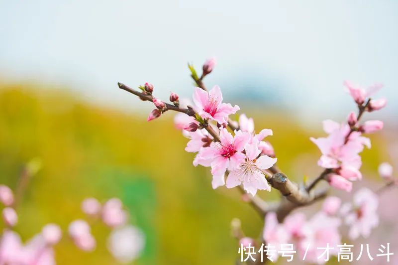 江月@100首春天唯美古诗词（值得收藏）