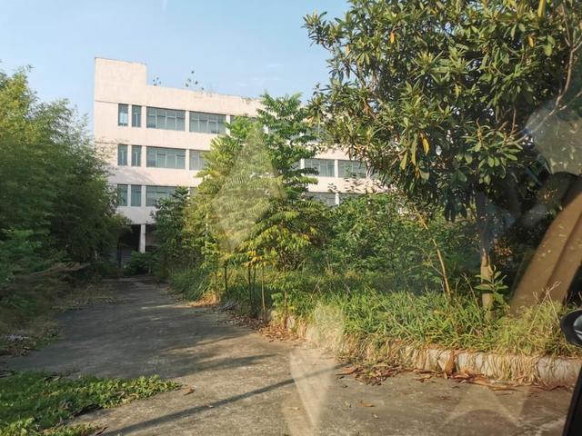 机器设备|鄂州兴冶特钢宿舍楼、办公楼寻求买家 价格低面积大成色新