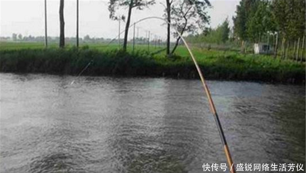 浮漂|夏季钓鱼,选择活水钓点,试试这种钓法,不用浮漂也能钓鱼!