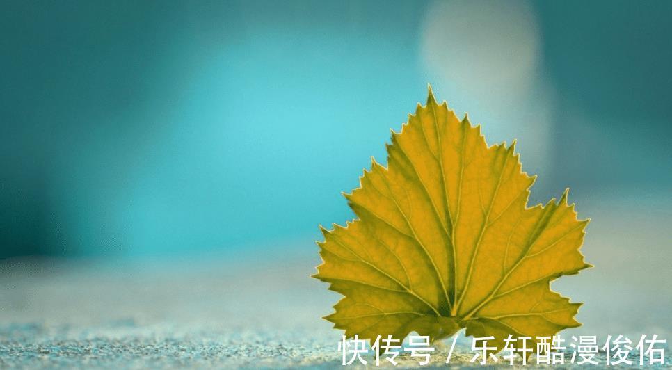 双子座|灵隐塔罗双子座11月情感运势，喜欢不可否认，容易陷入误区