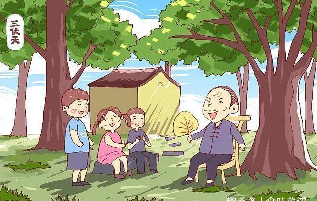 大暑|初伏、中伏、末伏哪个伏最热，为什么呢？看完此几点，你就明白了