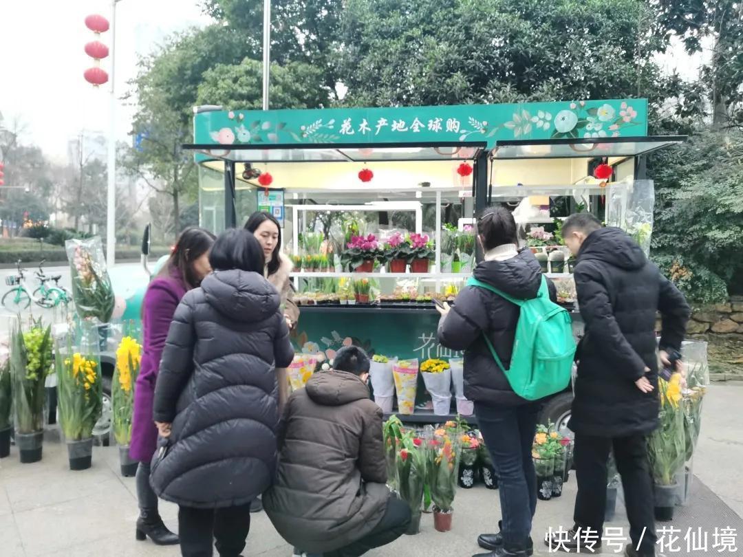 仙境花车惊艳亮相温江，花仙境努力践行公园城市的发展新理念