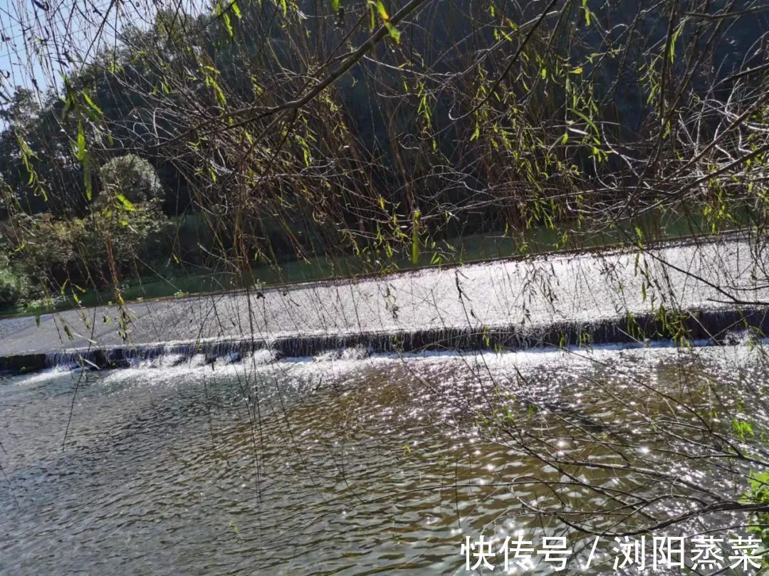 自信|当你相信你的孩子时,你的孩子就会开始自信!