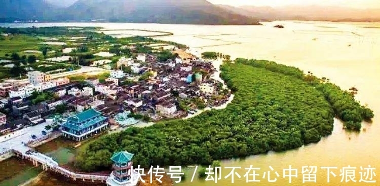 景区|广东巨低调景区，当地唯一海岛镇，海鲜丰富景点优美，却人烟稀少