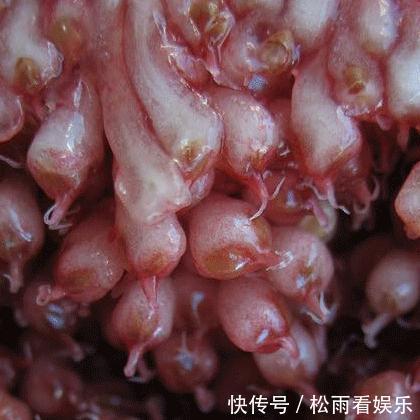 土耳其|建议中老年少吃猪羊肉，对自己好点多吃这几样，腿脚有劲不显老