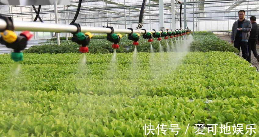 阿里巴巴|人民日报痛批阿里，一直保持沉默的马云，终于现身了