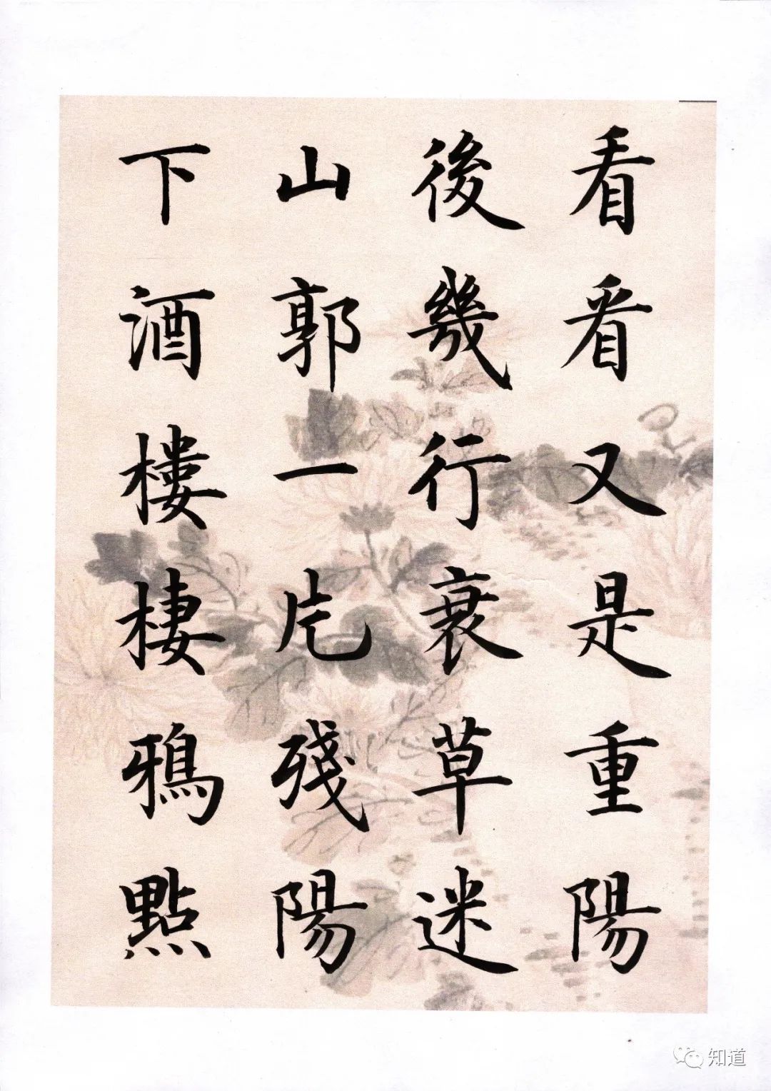 颜勤礼碑@书法故弄玄虚的常用语:悟、天赋、只可意会不可言传